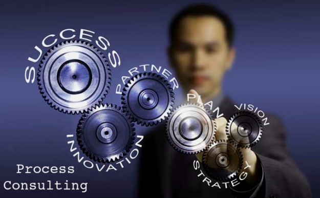Process Consulting